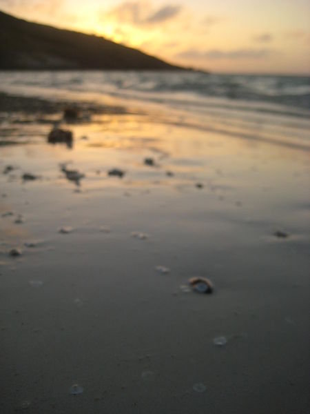 Down on the beach at sunrise...