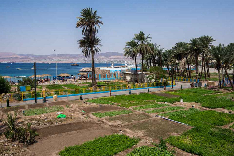 Aqaba 