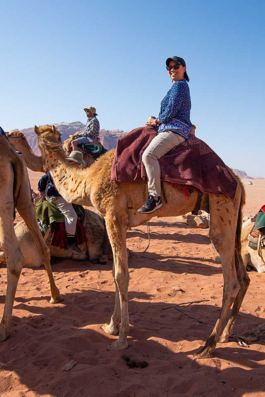 Camel ride