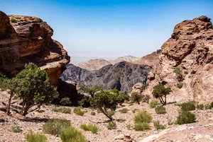Petra - Rift Valley