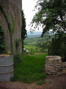 View over Vineyards at Saint Sernin du Plain