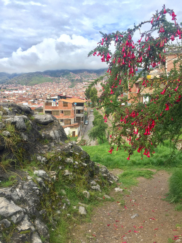 Cusco's new normal