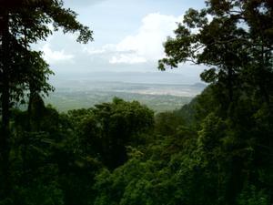 Looking Down From Bokor