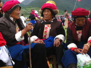 tibetaines