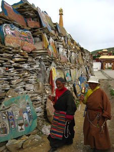  tibetaines