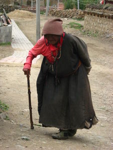 vieille tibetaine