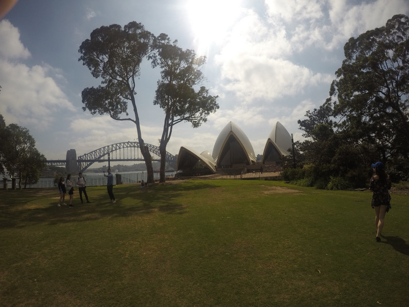 View of Sydney Opera House and Harbour Bridge from the Botanic Gardens.