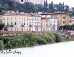 Homes along the Arno