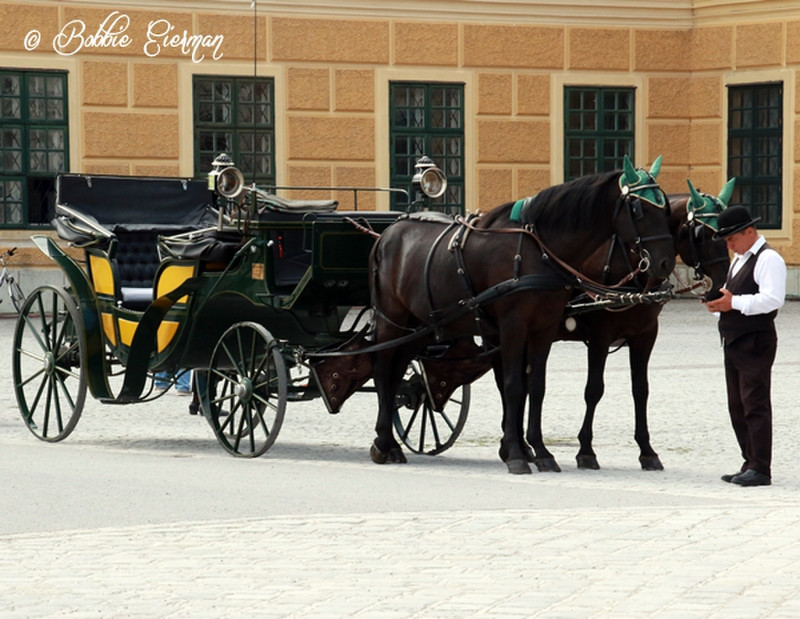 Palace Carriage Ride