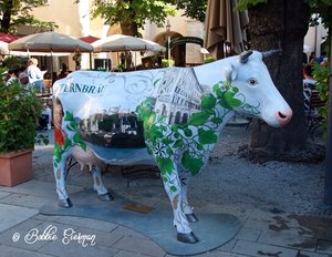 Salzburg Cow