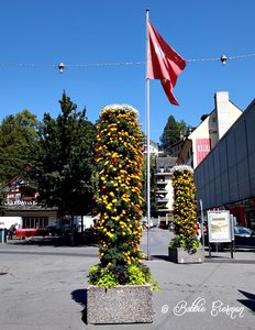 Flowers and flag