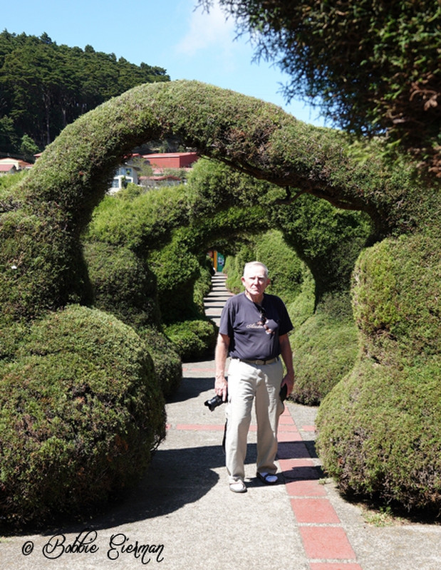 Fred and the Topiary