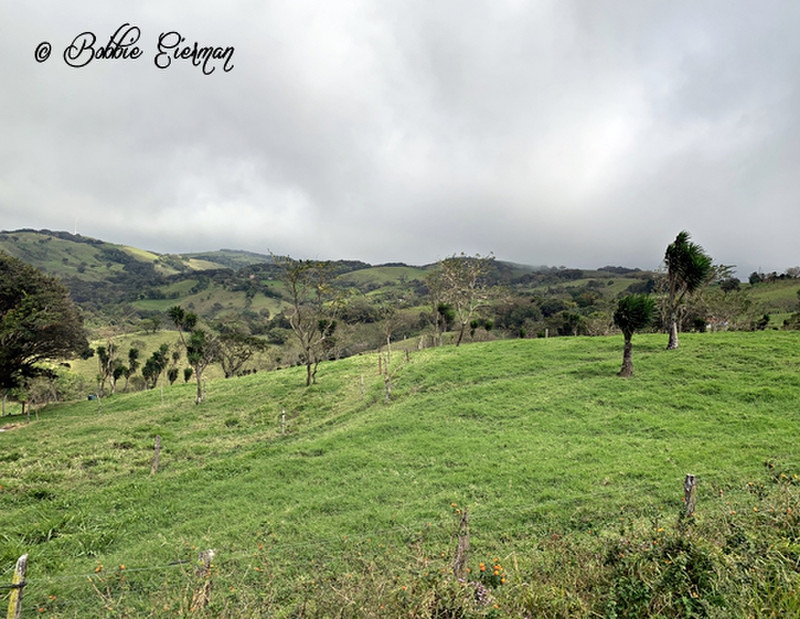 Costa Rican Countryside