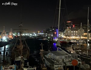  The Waterfront at Night