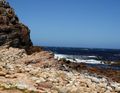  View from the Cape of Good Hope