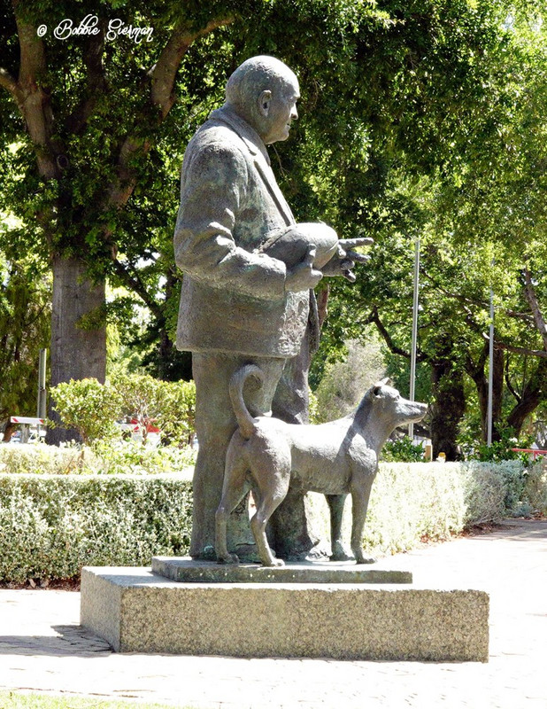  Damie Cravin - The Father of South African Rugby and his dog, Bliksem