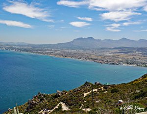  Looking down on False Bay