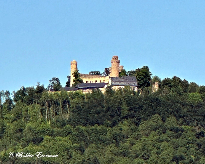 Frankinstein's Castle