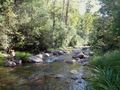 Jamieson river by my campsite