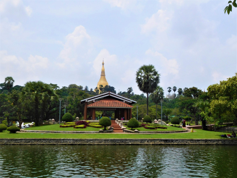 Inside of Kandawgyi park with Shwedagon temple at the background | Photo