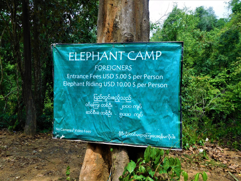 Price in the elephant camp