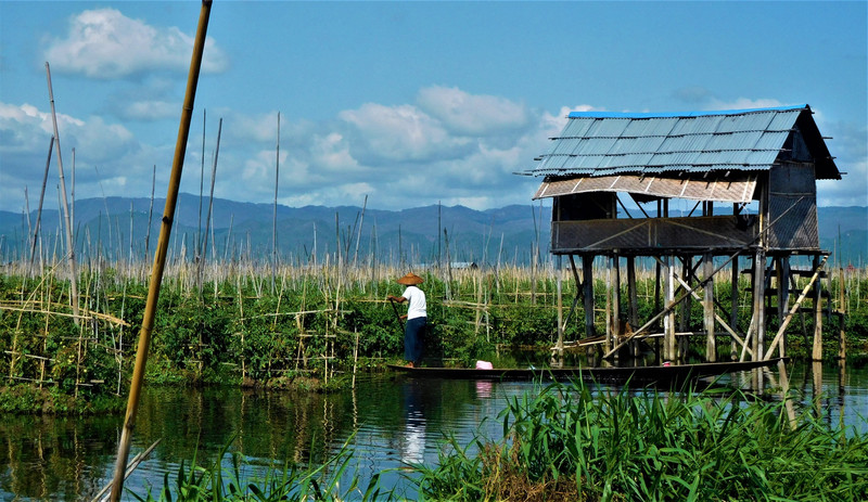 A man working on his floating farm