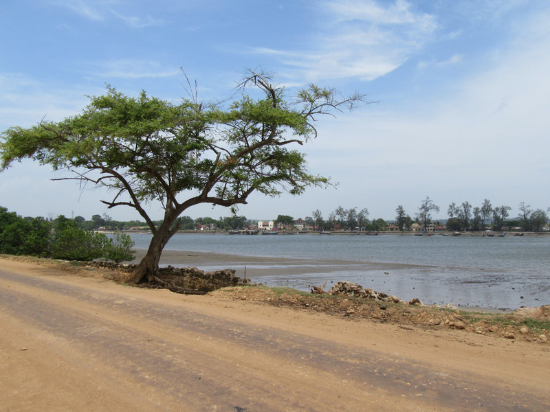 Pangani town from across the river
