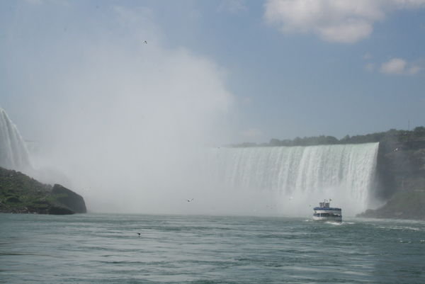 Coming up to Horseshoe falls 