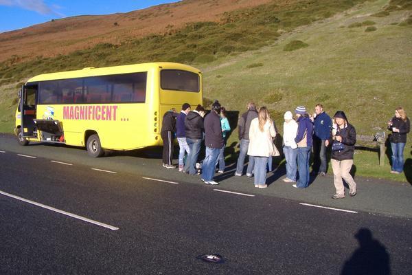 our yellow bus...