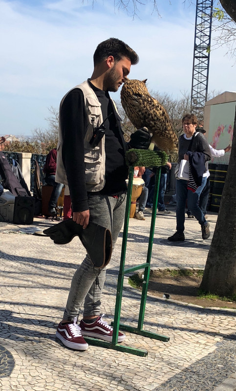 Owl guy at the park