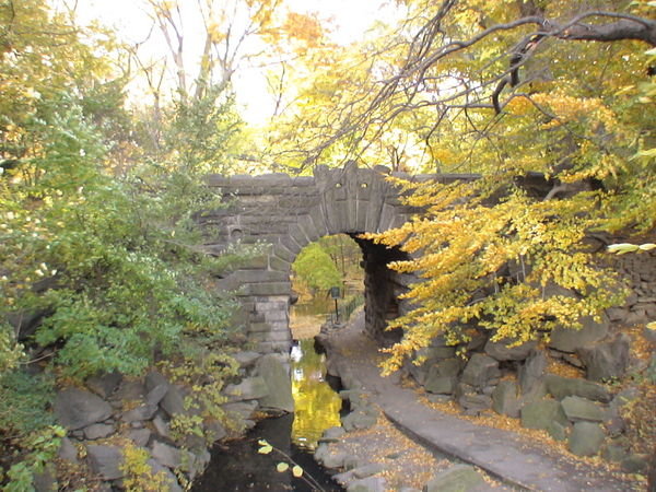 Puentecito en Central Park