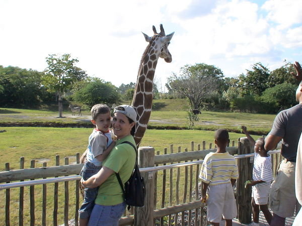 Elías e Isabel en el Miami Zoo