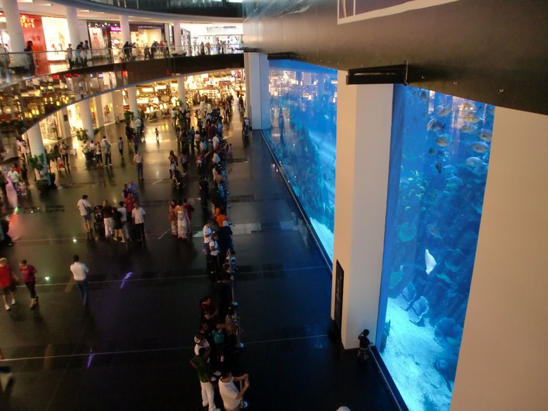 El acuario del Dubai Mall