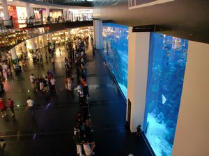 El acuario del Dubai Mall