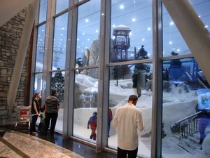 Pista de ski del centro comercial Mall of the Emirates