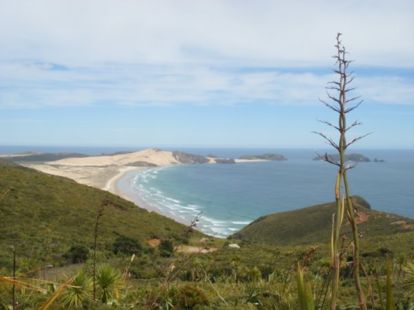 A view taken from Cape Reinga...