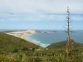 A view taken from Cape Reinga...