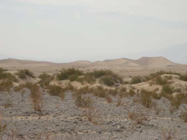 Mesquite Flat Sand Dunes.. 