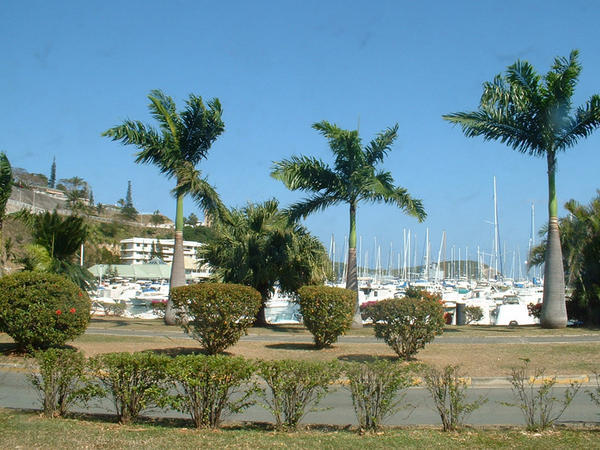 day 5 - port de plaisance