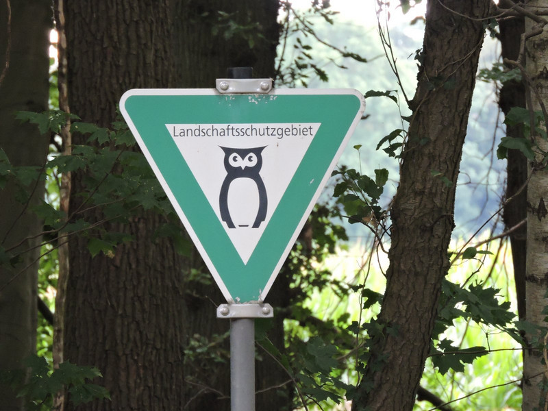 The owl sign