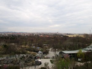View of the zoo from the hill