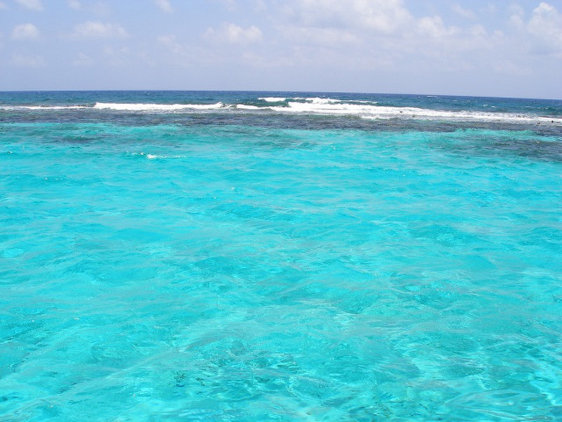 The Barrier Reef