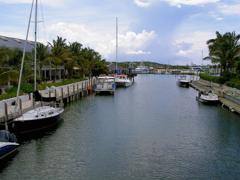 Near the Marina