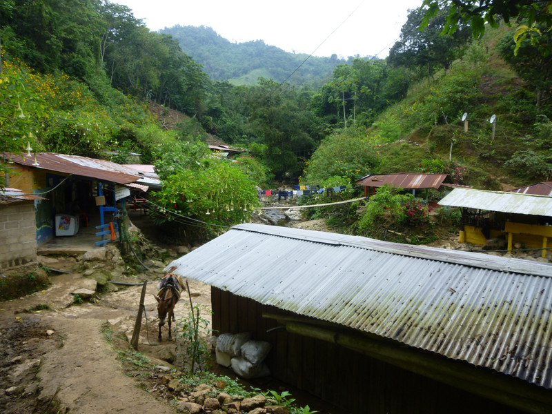 Passing Through a Village