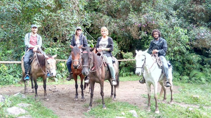 The Horse Riding Crew