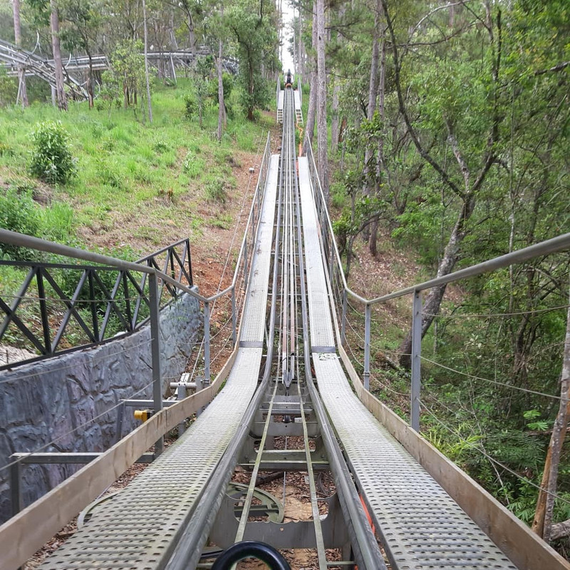 Rollercoaster through the forest