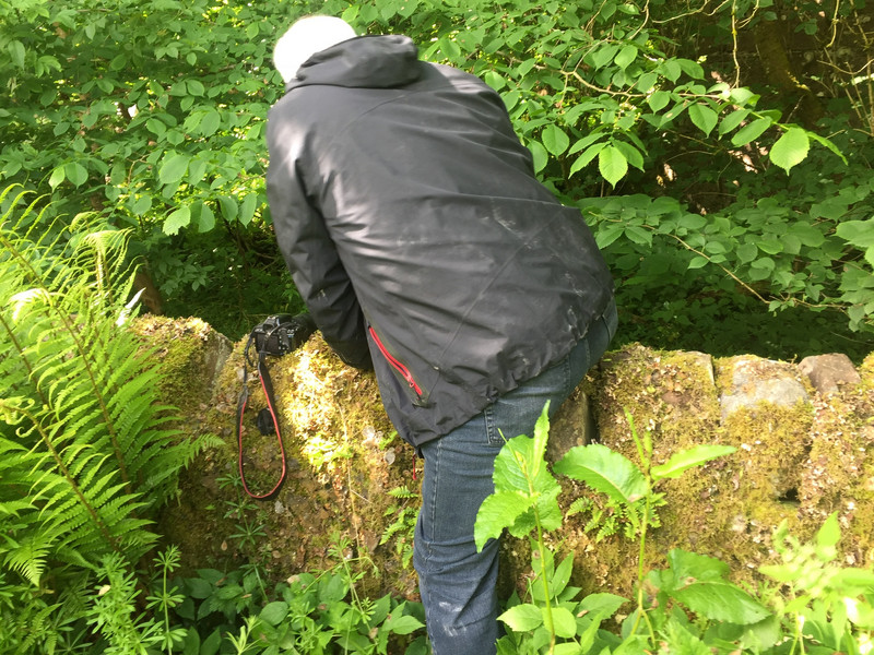 Peter hunting for the actual old mill - and found it!