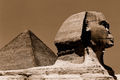 Giza Pyramid & The Sphinx