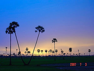 A Cambodian Sunset