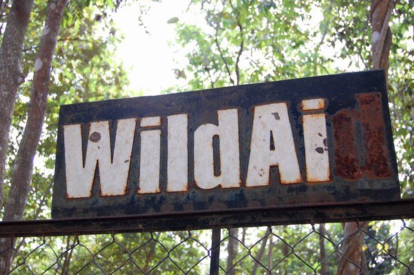 WildAid is a sponsor of the Sanctuary